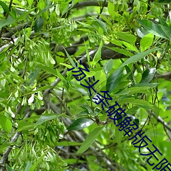 汤(tāng)头条破解版无限观(guān)看