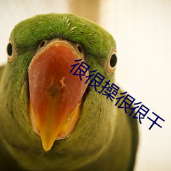 918博天堂·(中国)手机版客户端