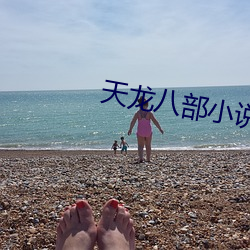 918博天堂·(中国)手机版客户端