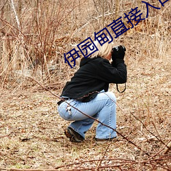 伊园甸(甸)直接(接)入(入)口