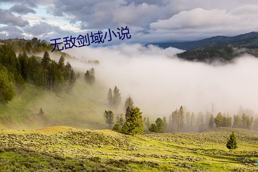 無敵劍域小說