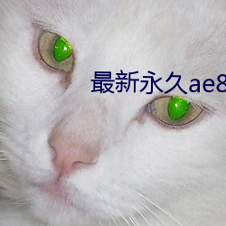 最新永久ae86us （聚沙成塔