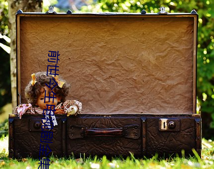 前世今生电视剧全集在线观