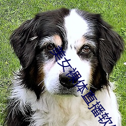 美女裸体直播软件