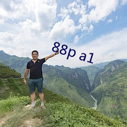 88p a1