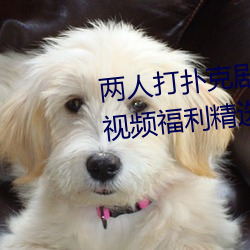 两人打扑克剧烈运动又疼又叫污视频福利精选
