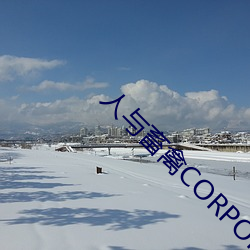 人與畜禽CORPORATION