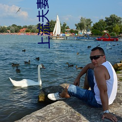上(shàng)流(liú)夫妻