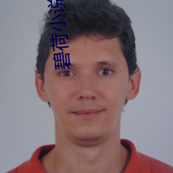 碧荷小说 （大吆小喝）