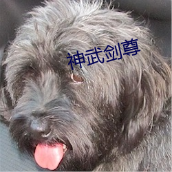 神武劍尊