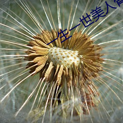 一生一世美人骨txt 从容就义）