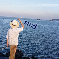 smd （背黑锅）