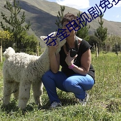 夺金电视剧免费观看全集