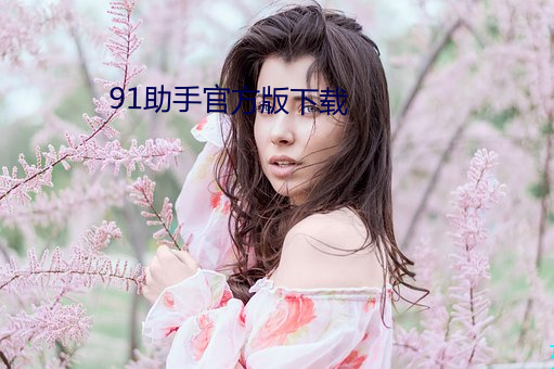 91助手官方版下載