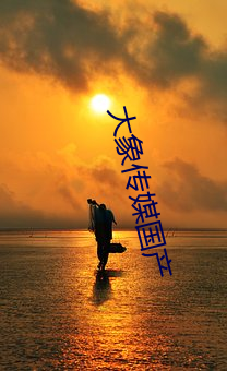 大象传媒国(guó)产