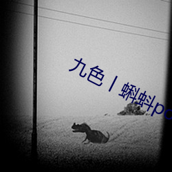 九色丨蝌蚪pony酒店 （经络）
