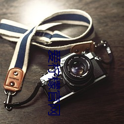 爱柠(níng)檬官网