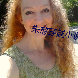 朱慈穿越小说