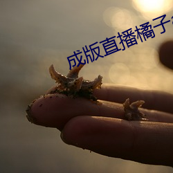成版直播橘子app軟件