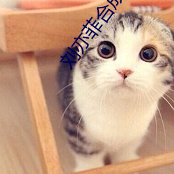 刘亦菲合成