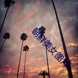 朝鲜美女(nǚ)图片