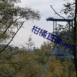 柑(柑)橘直(直)播app