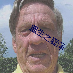 重生之夏澤