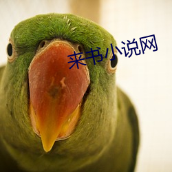 来(lái)书小说(shuō)网(wǎng)