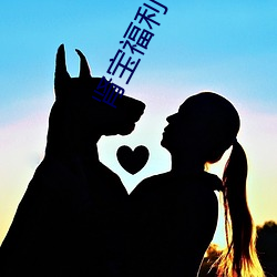 肾宝福利