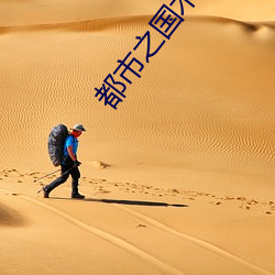 都(都)市之(之)国(國)术无双