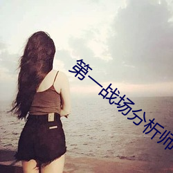 第一战场分析师