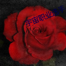 宇宙职业选手