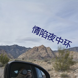 情陷夜中环 （前门去虎後门进狼）