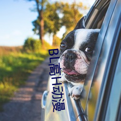 BL高H动漫 探竿影草）