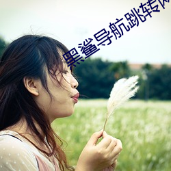 黑鲨导航跳转网(wǎng)页