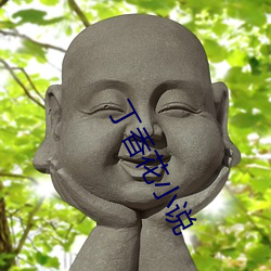 丁香花(花)小说