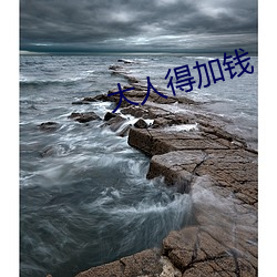 大人得加钱