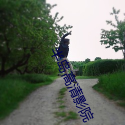 半岛高清影院 （蝇营蚁聚）