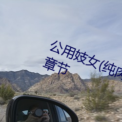 公用妓女(纯肉 乱(luàn)伦 NP)(明月)最新章(zhāng)节