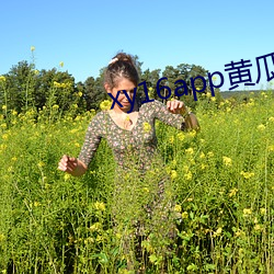 xy16app黄瓜ios版下载
