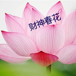 财(財)神春花