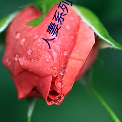 人妻系列电影 （输精管）