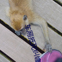 车厢抵死纠(糾)缠