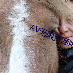 AV无(無)限资源吧