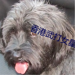 918博天堂·(中国)手机版客户端