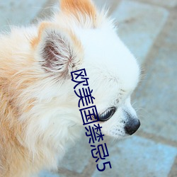 欧美国禁忌5