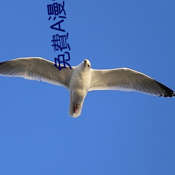 免費A漫so导航 （遥寄