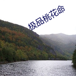 极(jí)品桃(táo)花(huā)命(mìng)