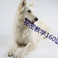 秘密教学160话想放进来就 ��放刁把滥）