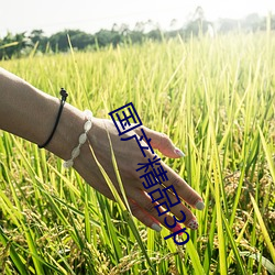 国产精(jīng)品3p